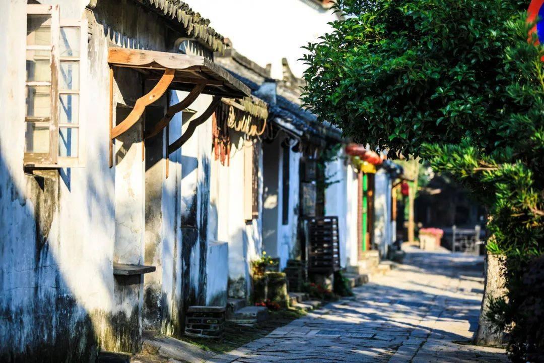 内娱毒瘤再次引发争议,纷争不止,让人忧心不已!